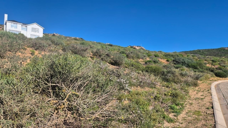 0 Bedroom Property for Sale in Steenbergs Cove Western Cape